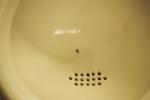 urinal-fly