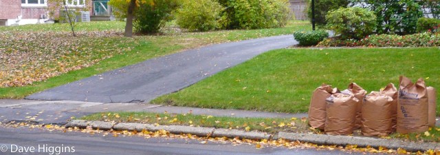 leaf line between two yards