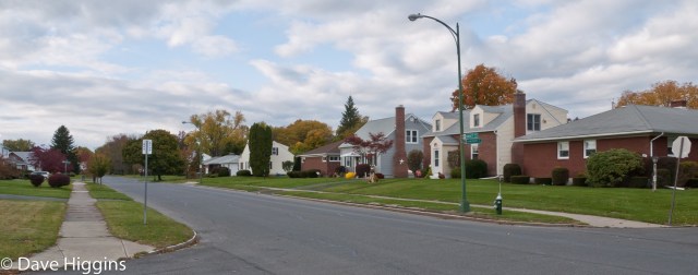 101022_no-trees-street_10-2010_001 Residential street with hardly any trees