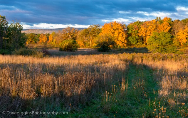 Sunrise Near Heldebergs